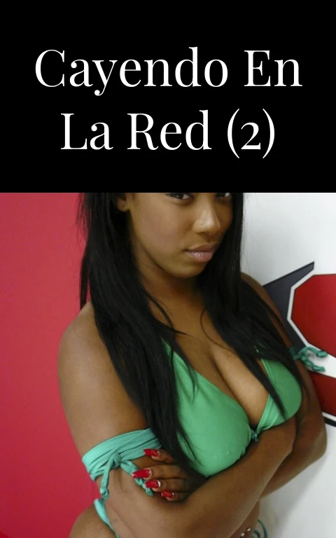 Cayendo en la red (2)