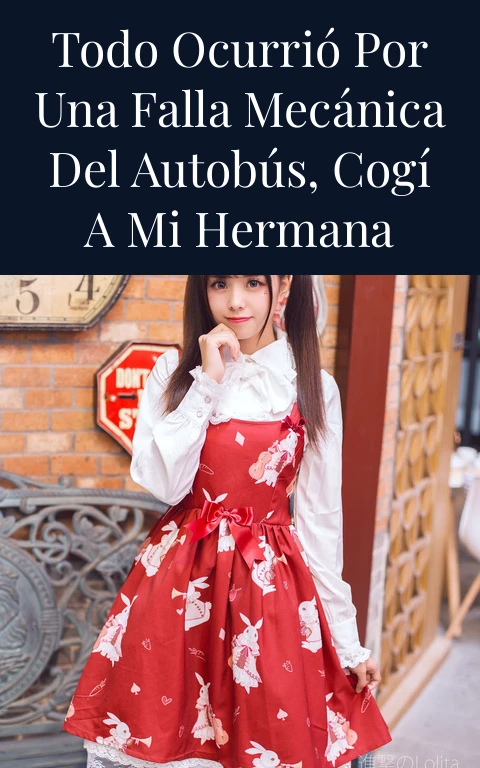 Todo ocurrió por una falla mecánica del autobús, cogí a mi hermana